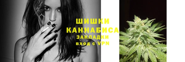 сатива Нефтекумск