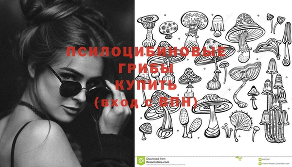 сатива Нефтекумск