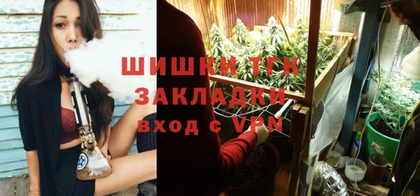 сатива Нефтекумск